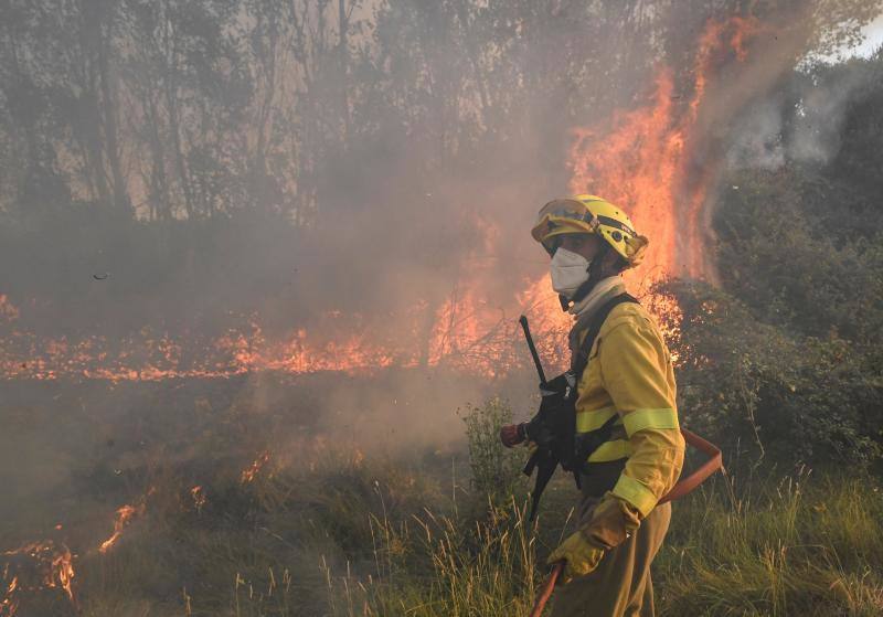 Fotos: Los incendios devoran Zamora