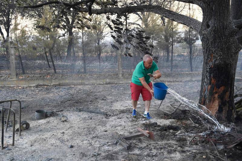 Fotos: Los incendios devoran Zamora