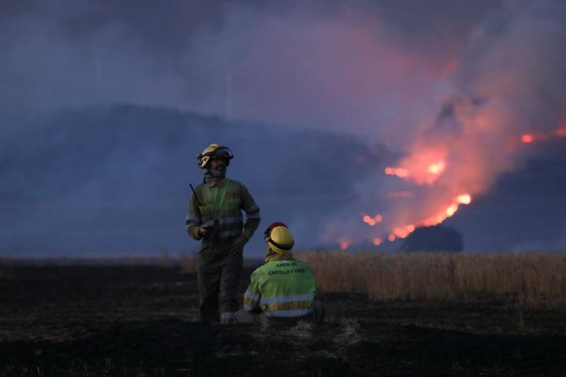 Fotos: Los incendios devoran Zamora