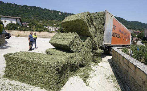 El pastor observa la descarga de pacas de alfalfa para el invierno.