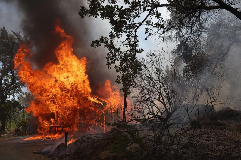 Fotos: Un incendio cercano al Parque de Yosemite (California) pone en peligro sus secuoyas gigantes