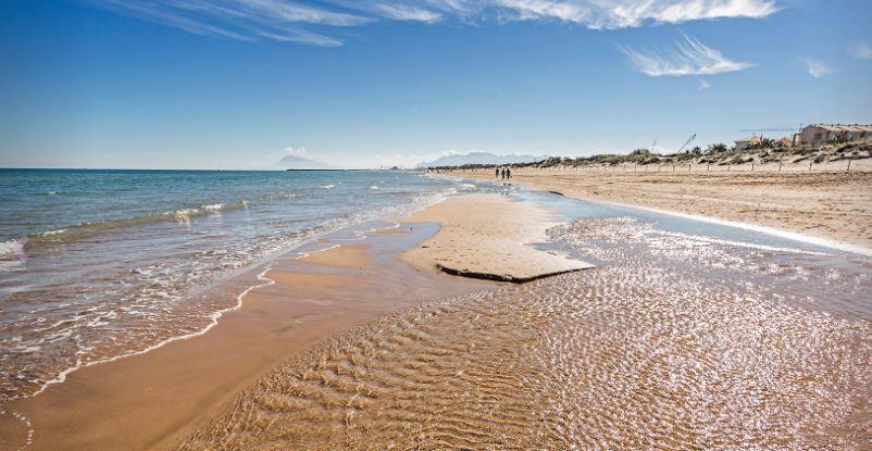 Playa de Terranova, Oliva. Es una playa de gran calidad ecológica al mantener intacta su estructura dunar. Esta playa de arena fina ha recibido la bandera azul de la Comunidad Europea en repetidas ocasiones.