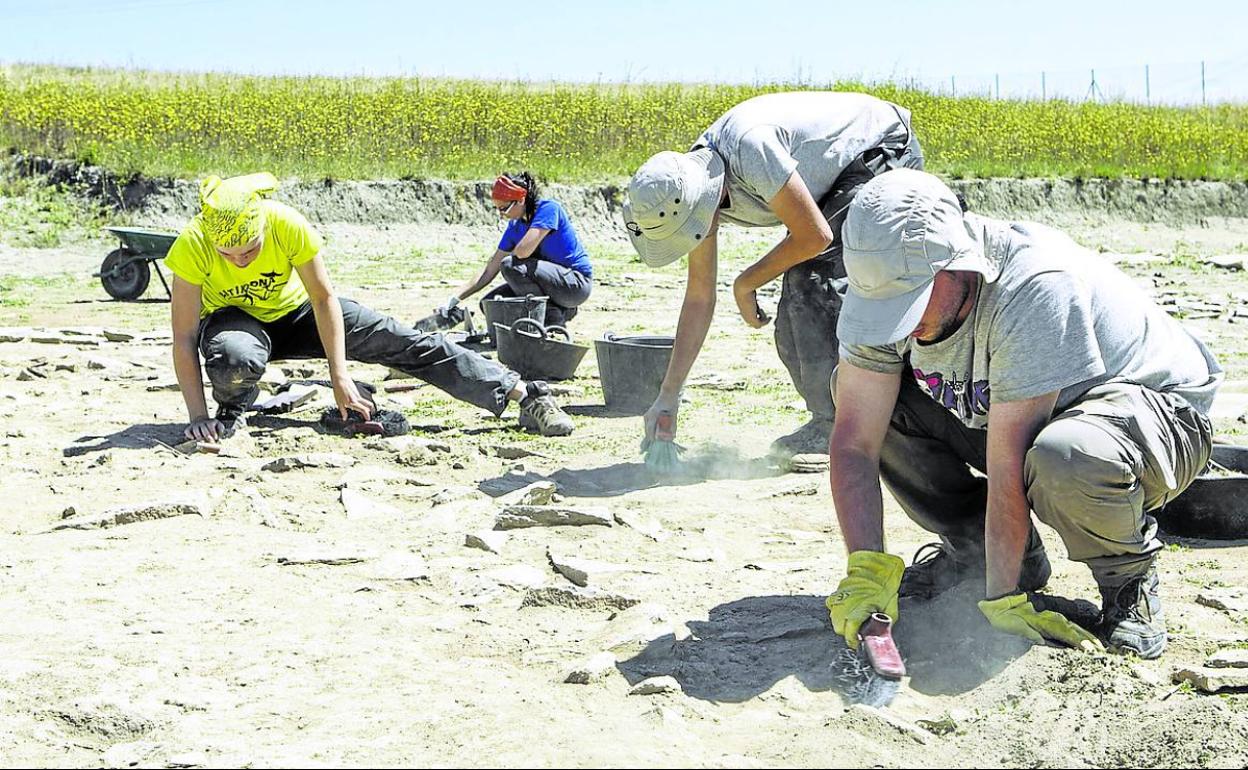 Un grupo de arqueólogos trabaja en el yacimiento de Iruña Veleia. 