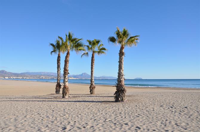 Playa de San Juan, Alicante. La playa de San Juan se extiende a lo largo de 5 kilómetros. Por eso, no tendrá ningún problema para encontrar alguna zona tranquila para disfrutar de esta playa. Nada mejor que un baño en sus cálidas y cristalinas aguas para refrescarse. 