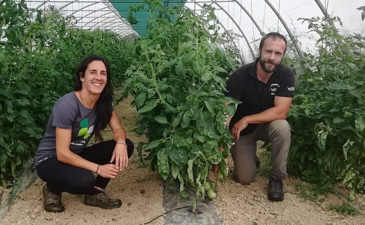 El carpintero y la ingeniera que lo dejaron todo para cultivar hortalizas en Gatika