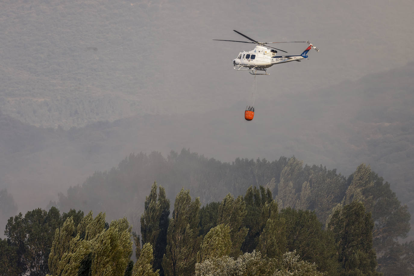 Fotos: Imágenes del incendio declarado en Zambrana
