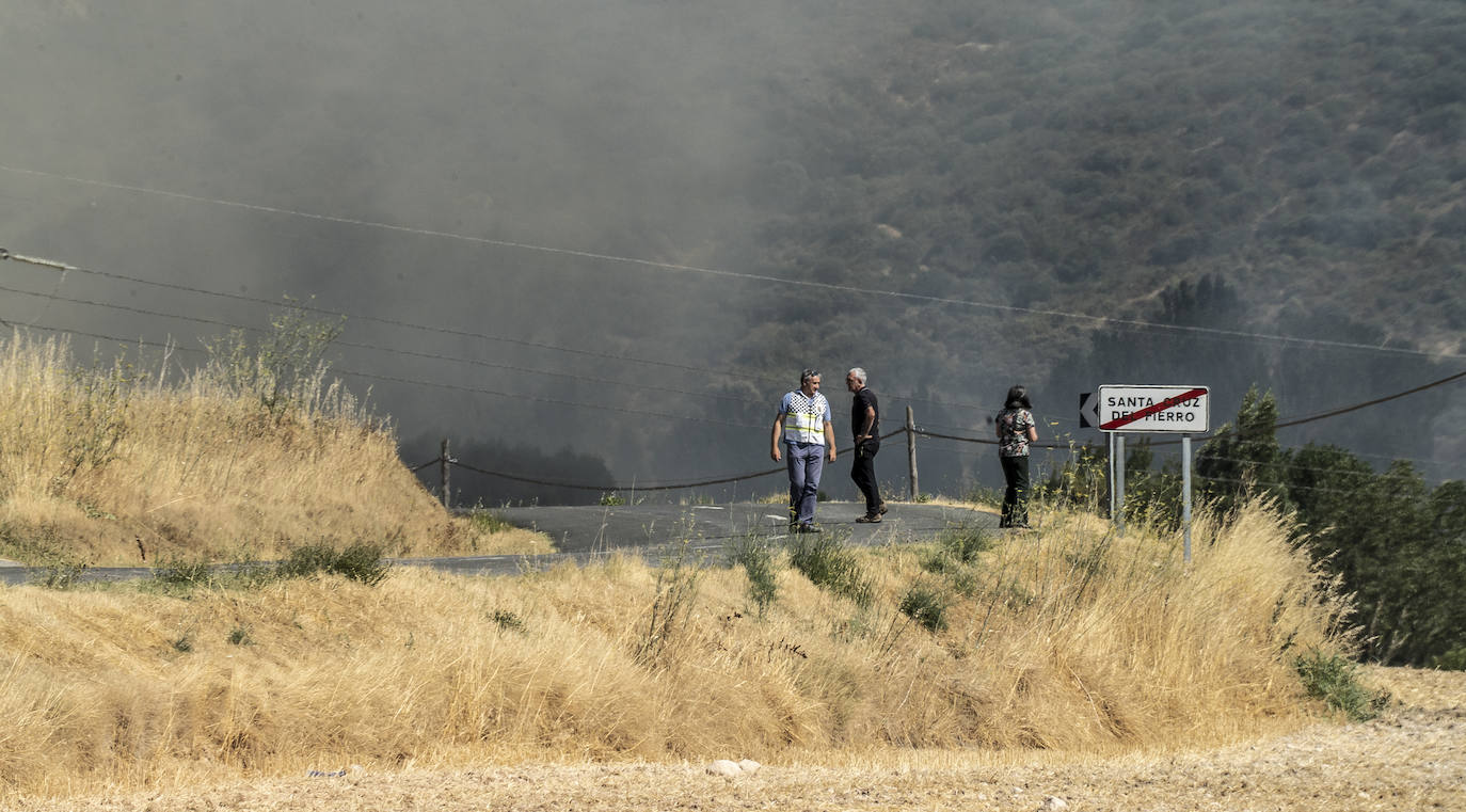 Fotos: Imágenes del incendio declarado en Zambrana