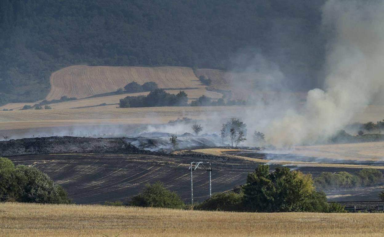 El fuego se propagó junto a las vías del ferrocarril a su paso por los municipios de Salvatierra, Iruraiz-Gauna y Alegría. 