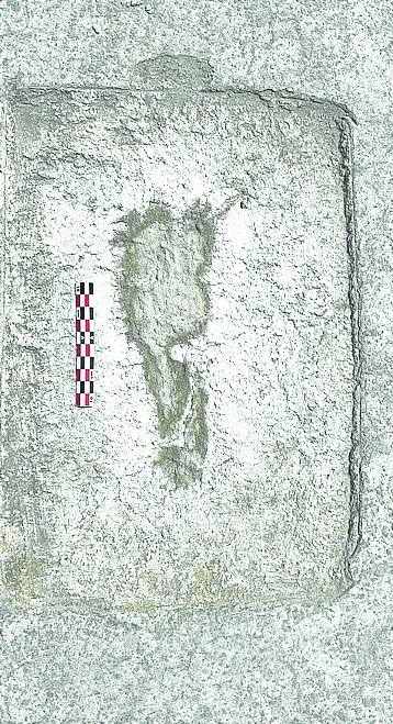 Imagen - Tamaño de la pisada.