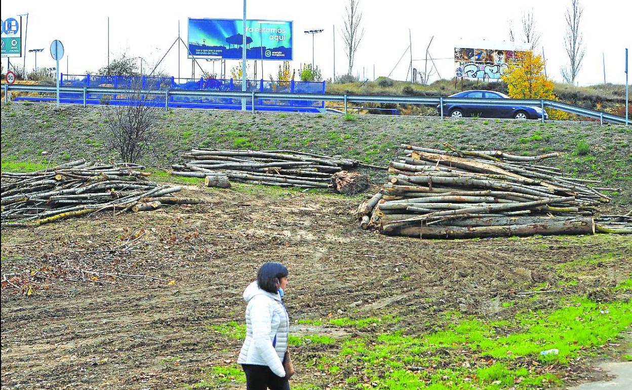 La plataforma ciudadana se opone a la pretensión municipal de volver a actuar en el Bayas. 