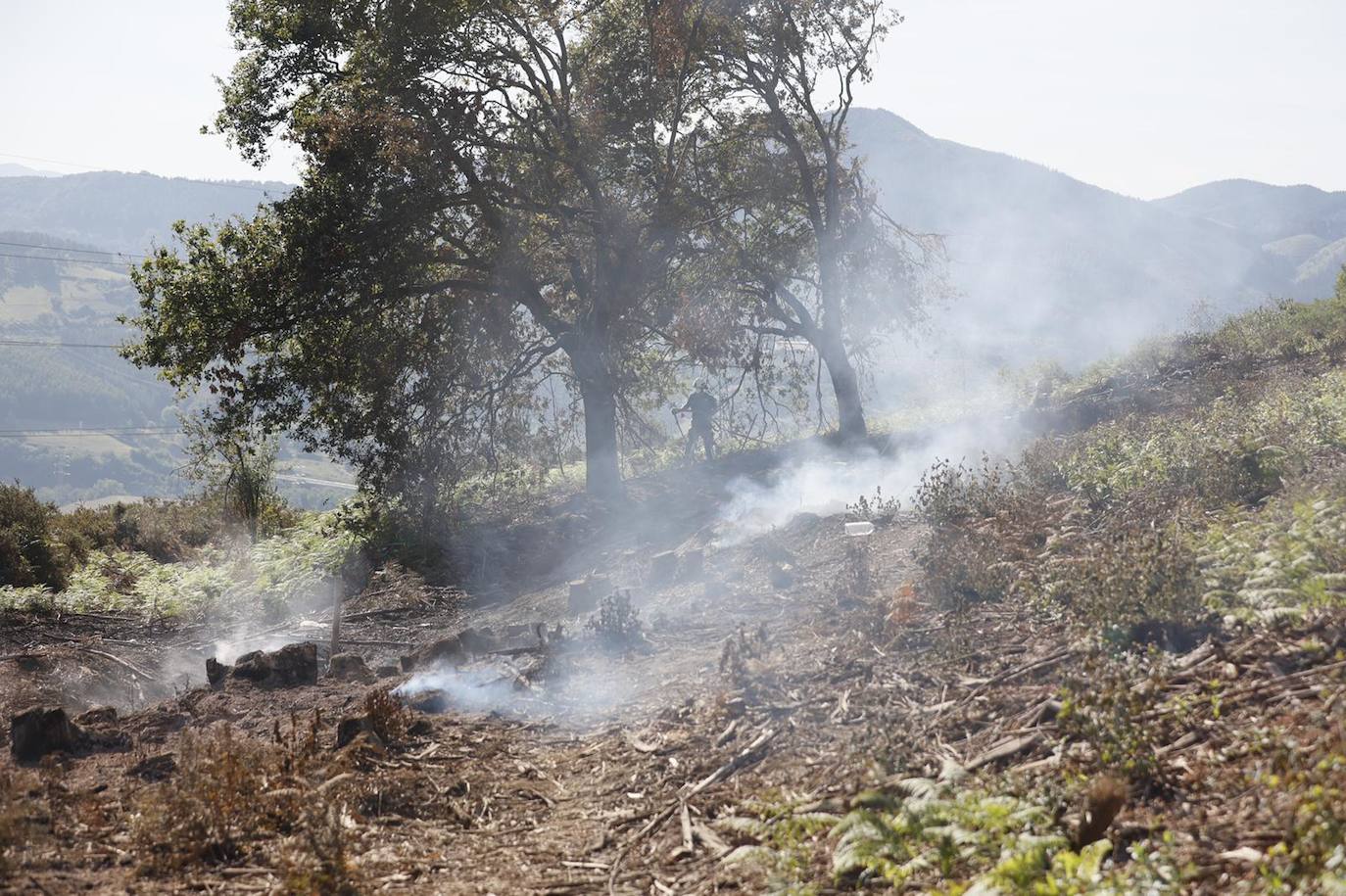 Fotos: Hallan los cuerpos calcinados de dos gemelos de 73 años en un incendio en Basauri