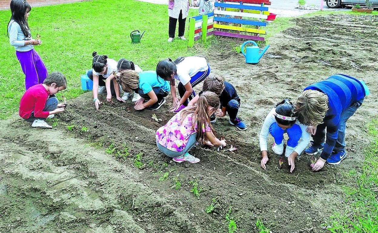 Desde IU defienden que la propia empresa corroboró su incumplimiento.