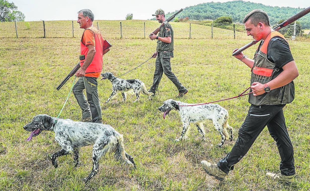 Pocas codornices por la sequía