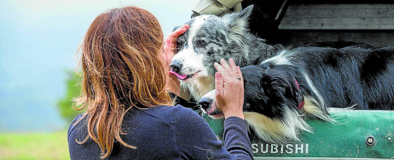 Acariciando a Hortz y Nola, sus border collie. 