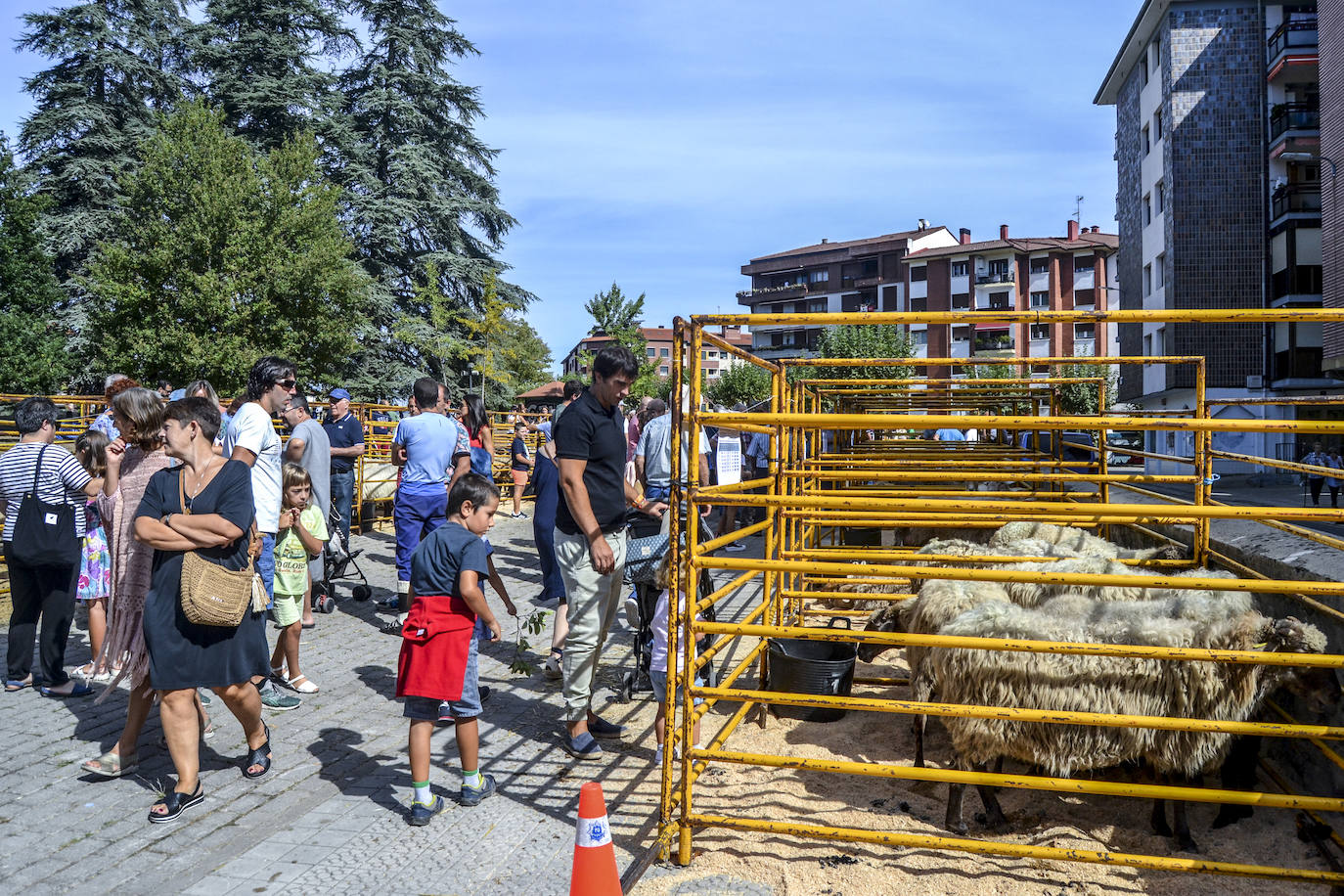 Fotos: Amurrio celebra el Artzain Eguna
