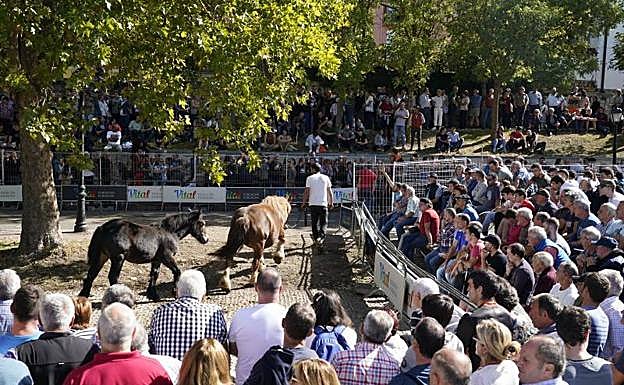 La exhibición caballar atrajo a centenares de vecinos de Álava y del resto del País Vasco. 