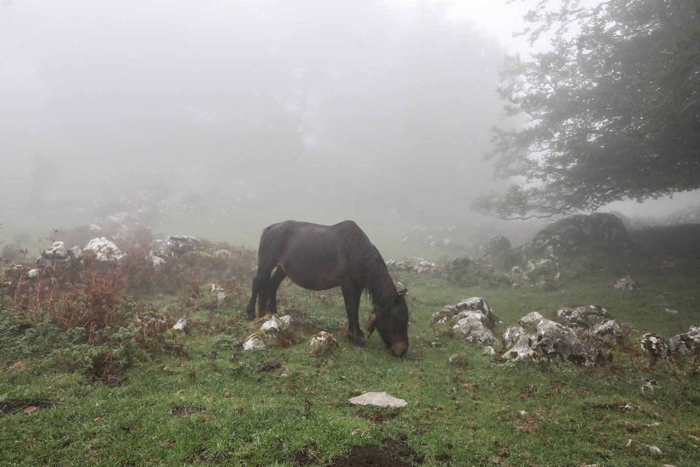 Fotos: Nico Molina se consagra en Zeanuri al ganar la Gorbeia Suzien