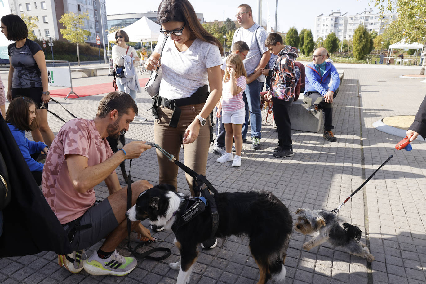 Fotos: Vitoria hace bueno el día de perros