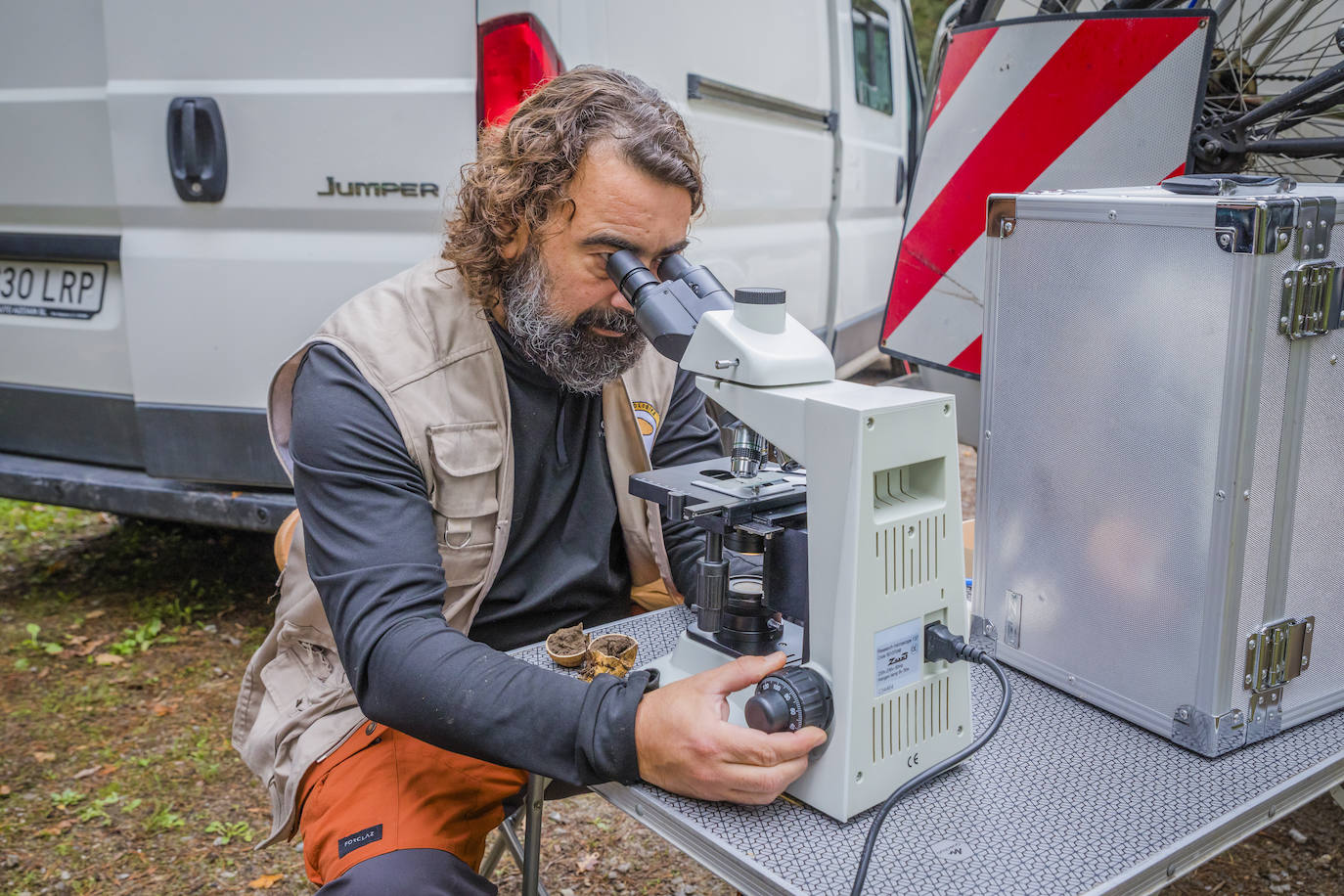 Fotos: Arranca la temporada de setas