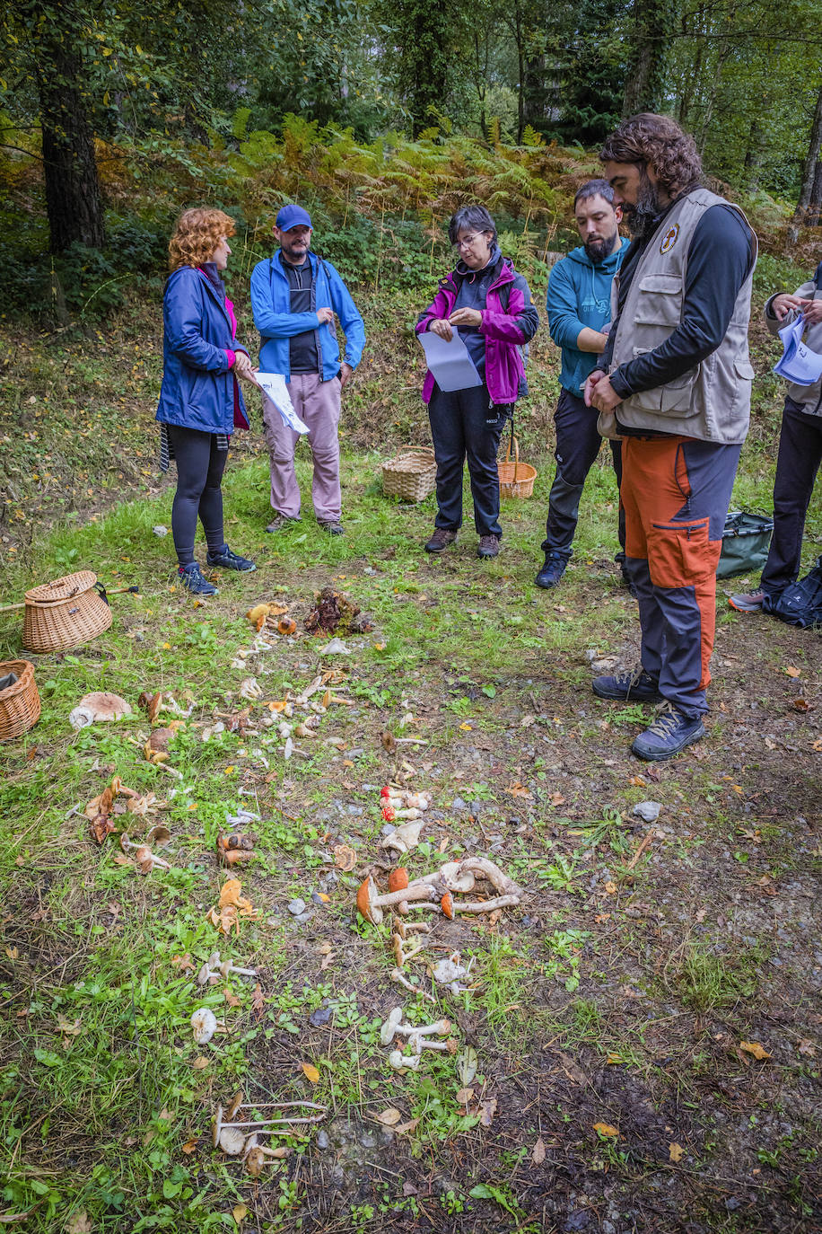 Fotos: Arranca la temporada de setas