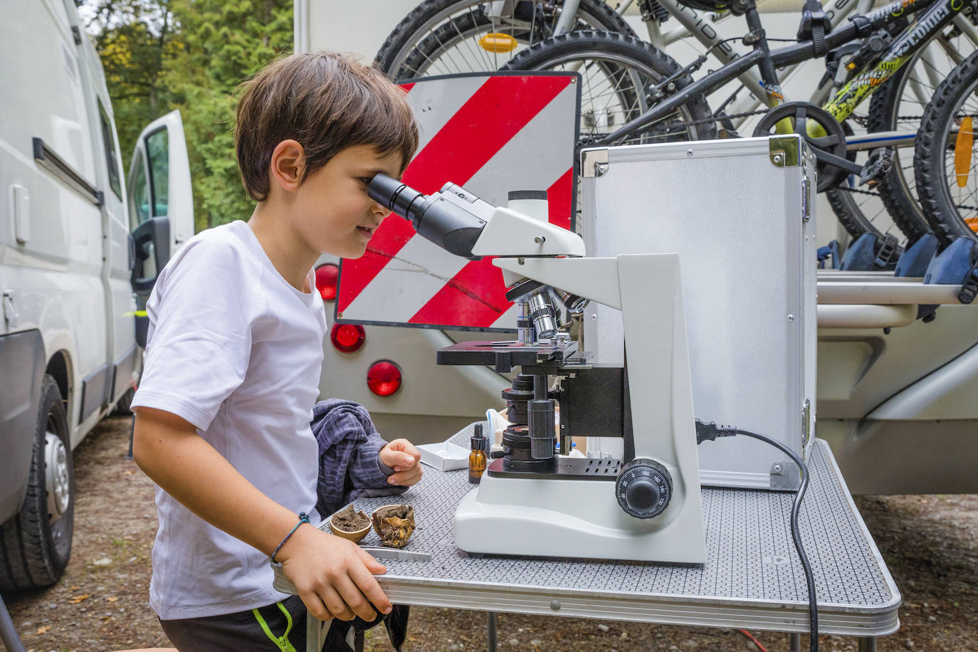 Fotos: Arranca la temporada de setas