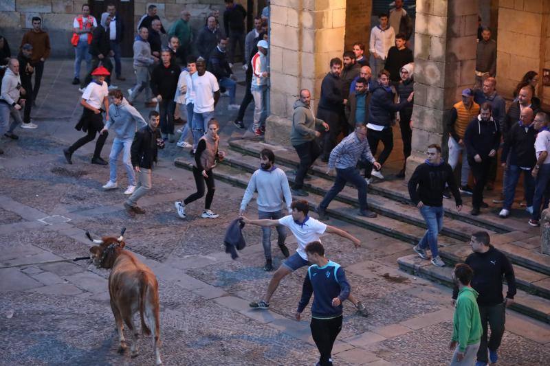 Fotos Sokamuturra en Durango El Correo
