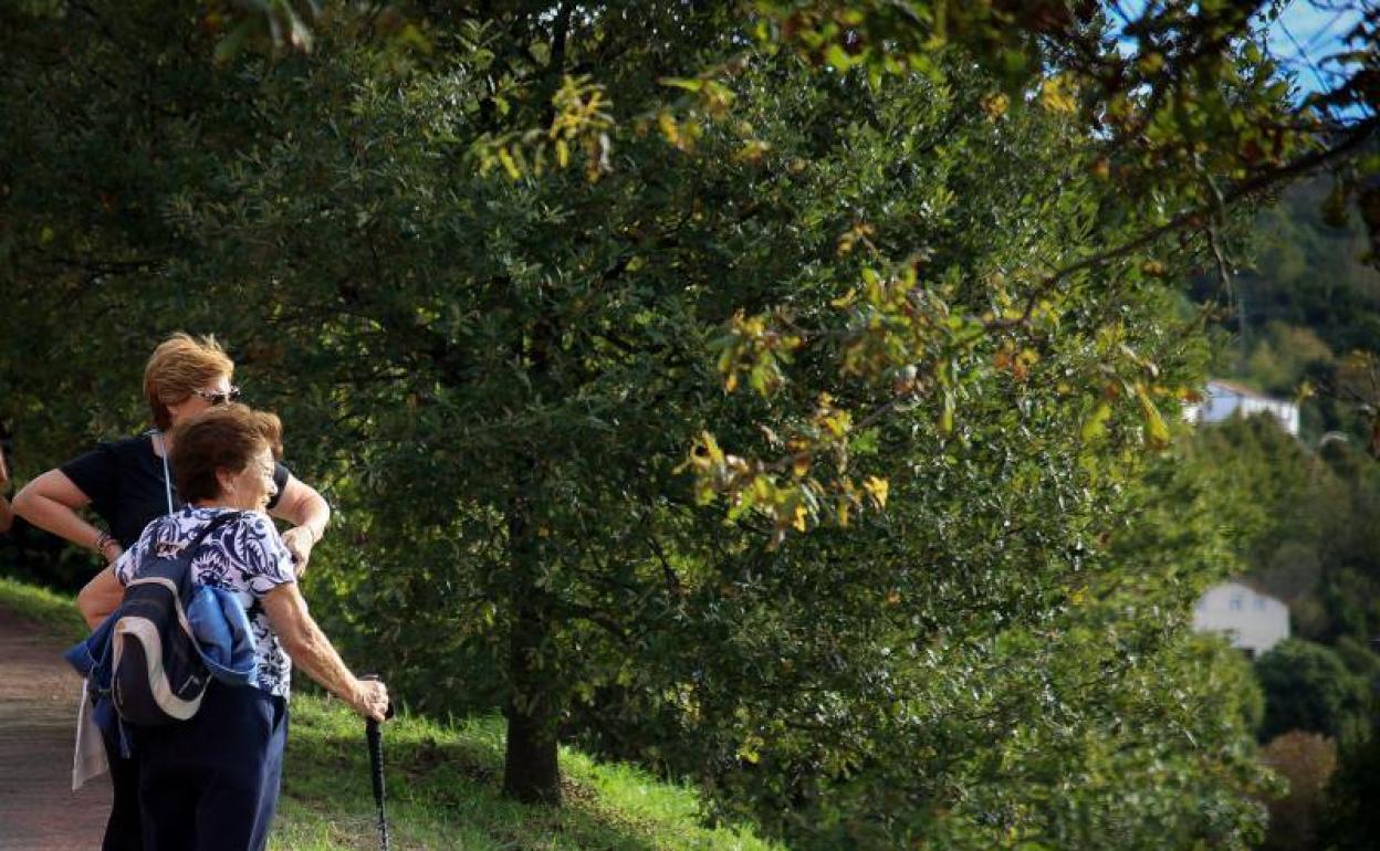 Artxanda, más que un monte