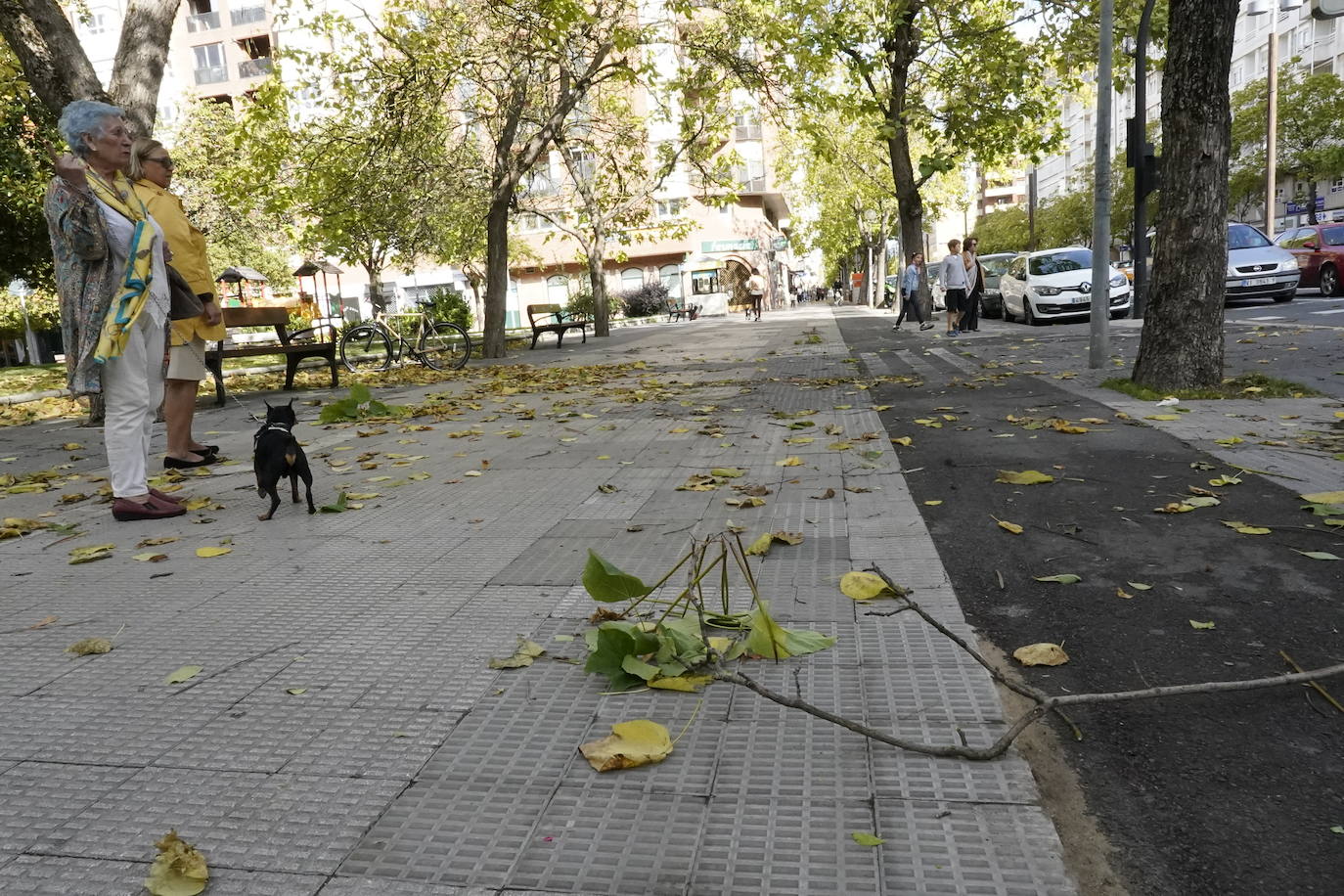 Fotos: Fuertes rachas de viento azotan Vitoria