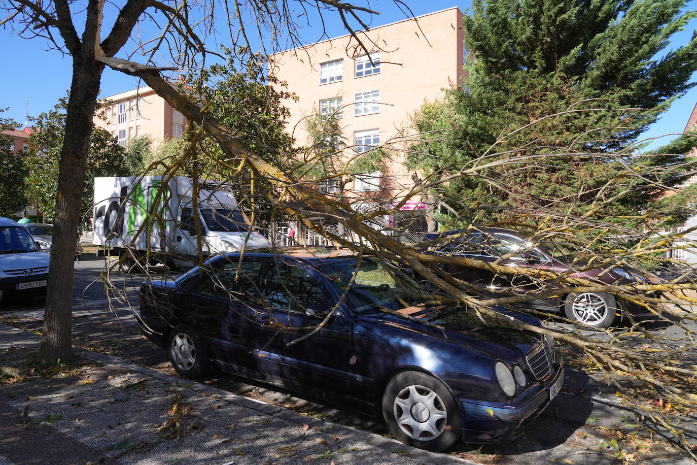 Fotos: Fuertes rachas de viento azotan Vitoria