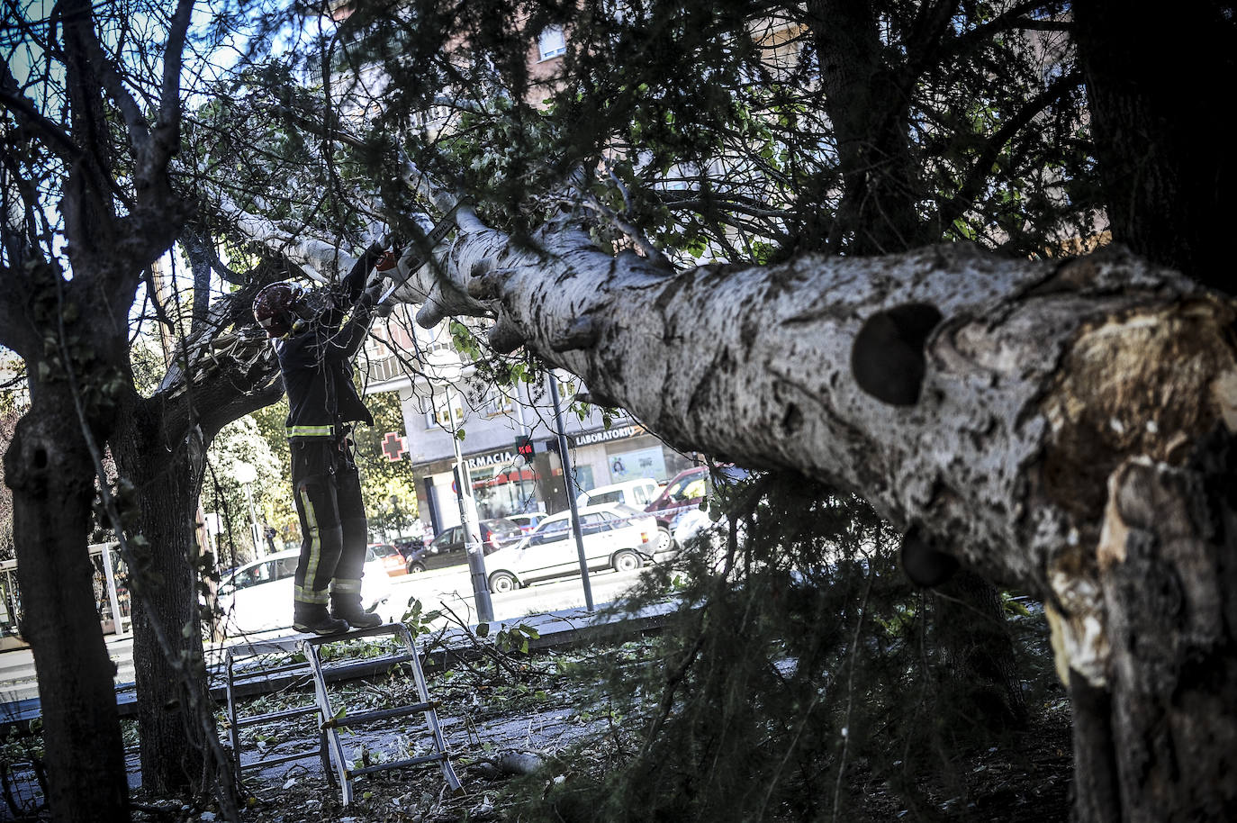 Fotos: Fuertes rachas de viento azotan Vitoria