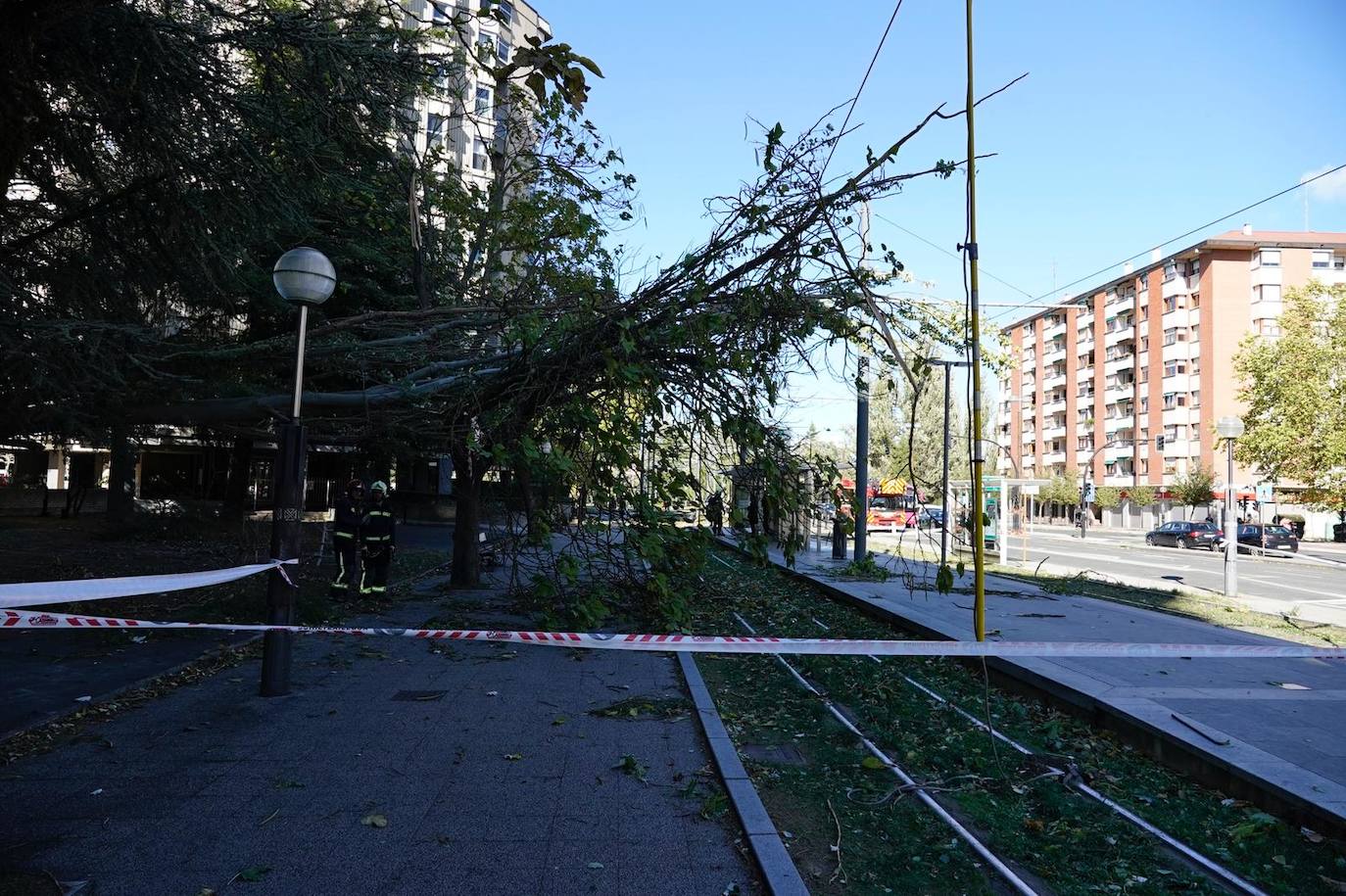 Fotos: Fuertes rachas de viento azotan Vitoria