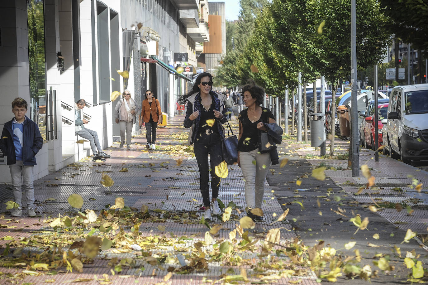 Fotos: Fuertes rachas de viento azotan Vitoria