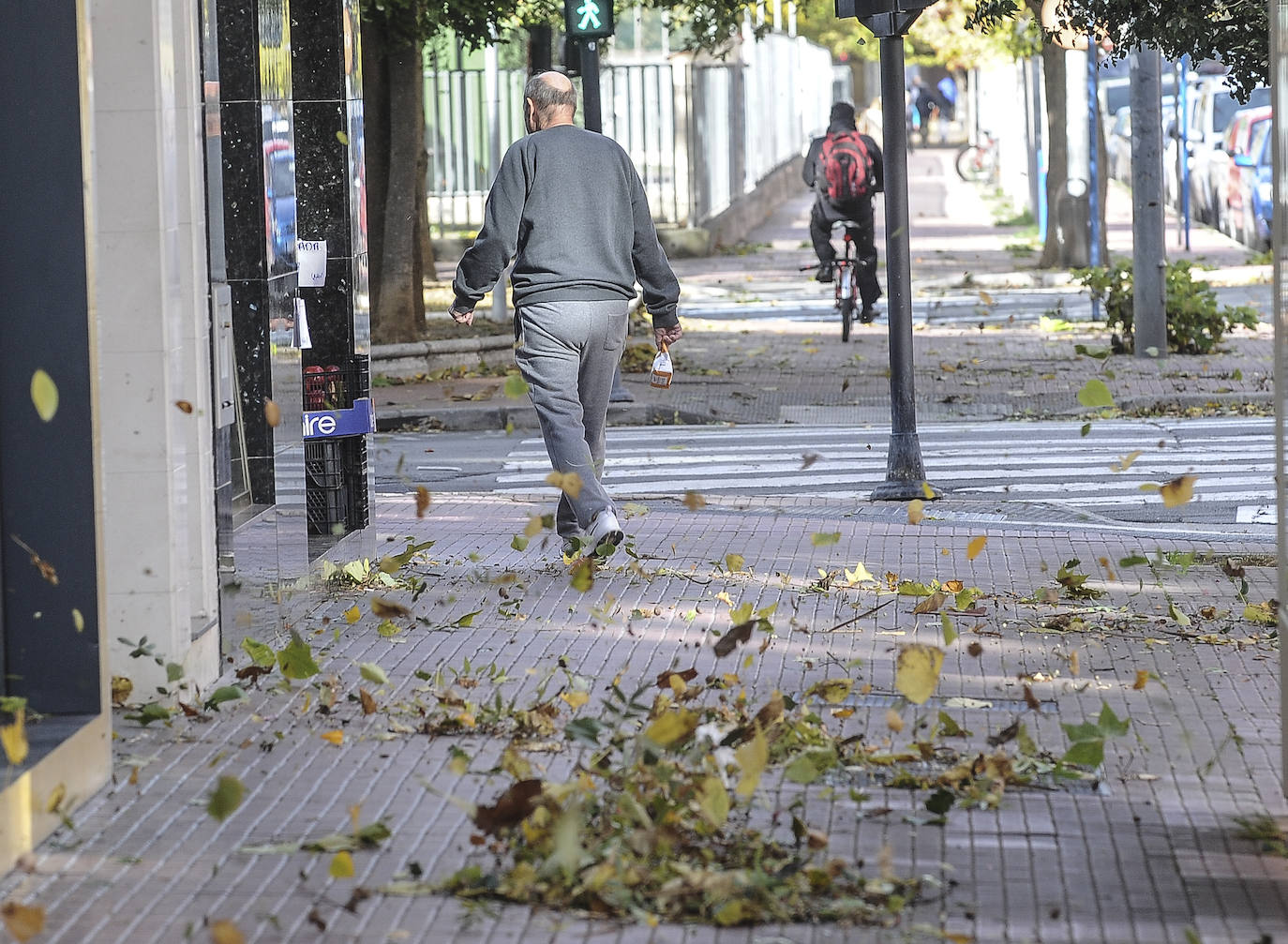 Fotos: Fuertes rachas de viento azotan Vitoria