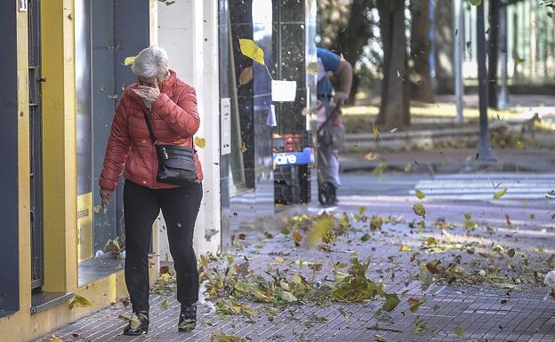 Rachas de viento de 80 kilómetros por hora y alerta por riesgo de incendios en Álava