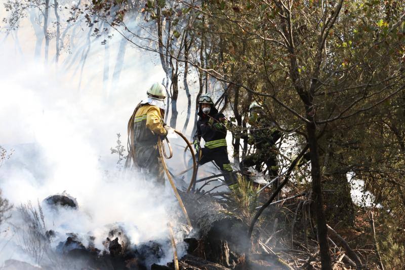 Fotos: El viento arruina las pucheras de Balmaseda