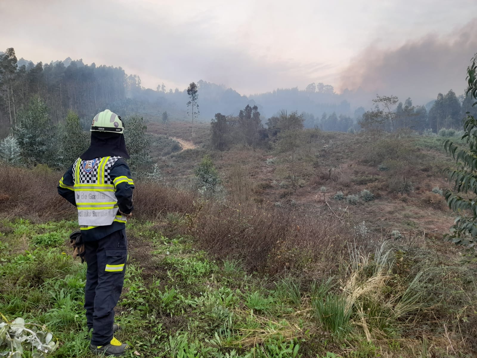 Los bomberos, trabajando sobre el terreno.