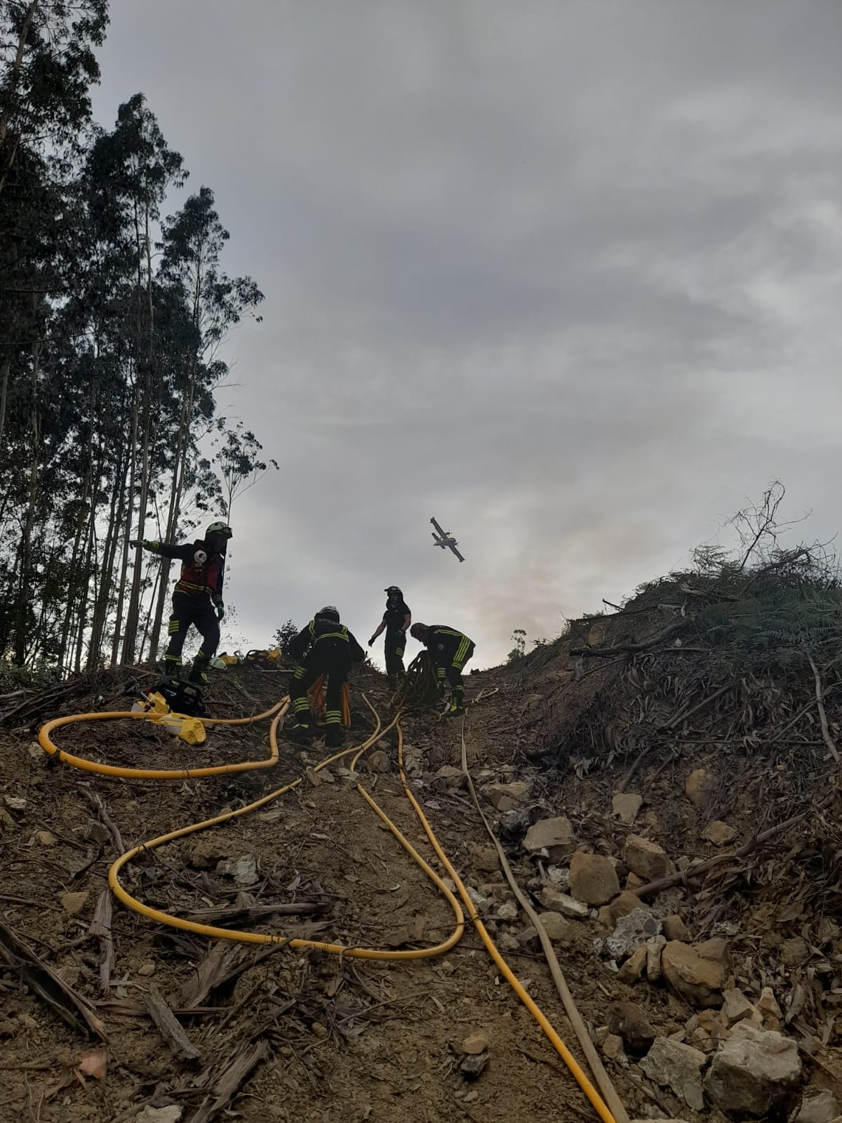 Los bomberos, trabajando sobre el terreno.