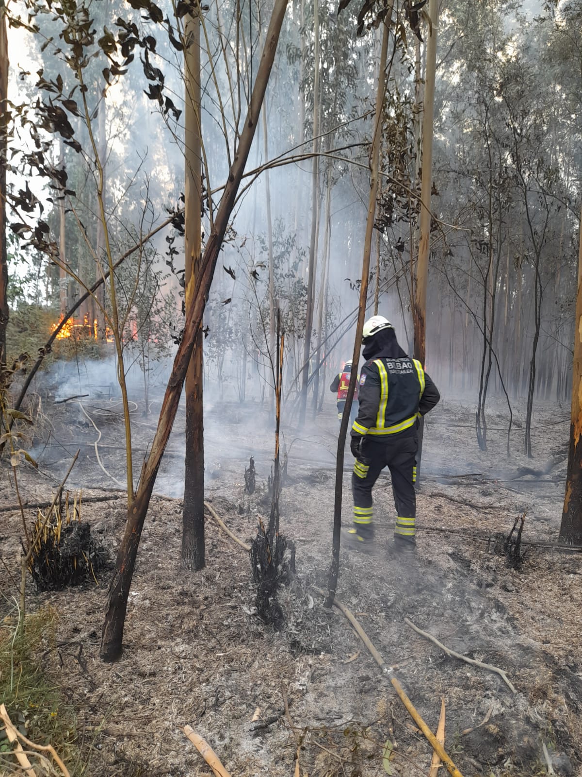 Los bomberos, trabajando sobre el terreno.