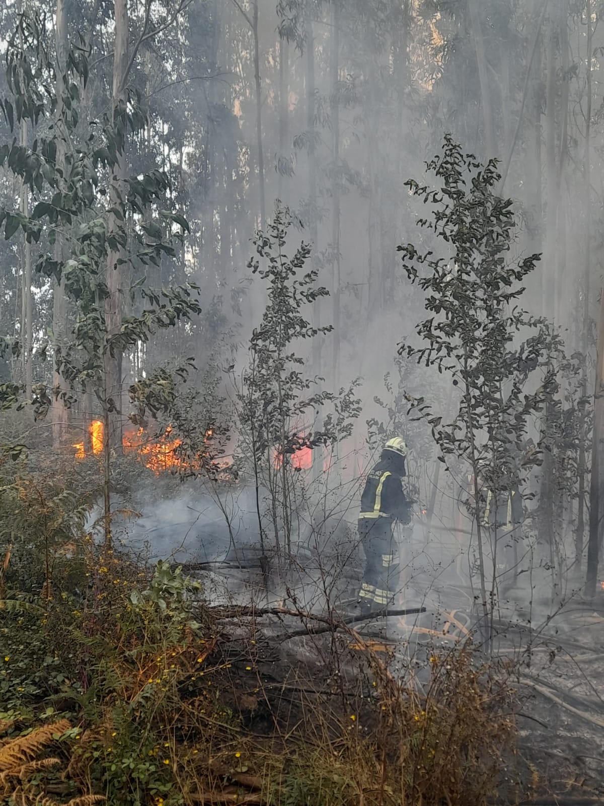 Los bomberos, trabajando sobre el terreno.