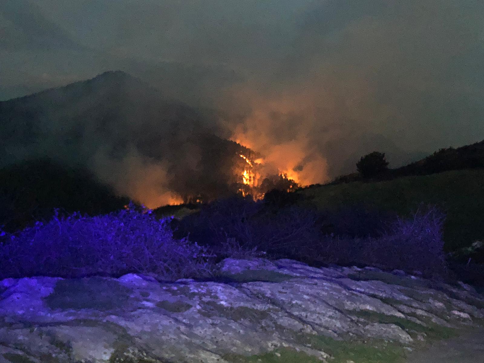 Incendio de La Arboleda.