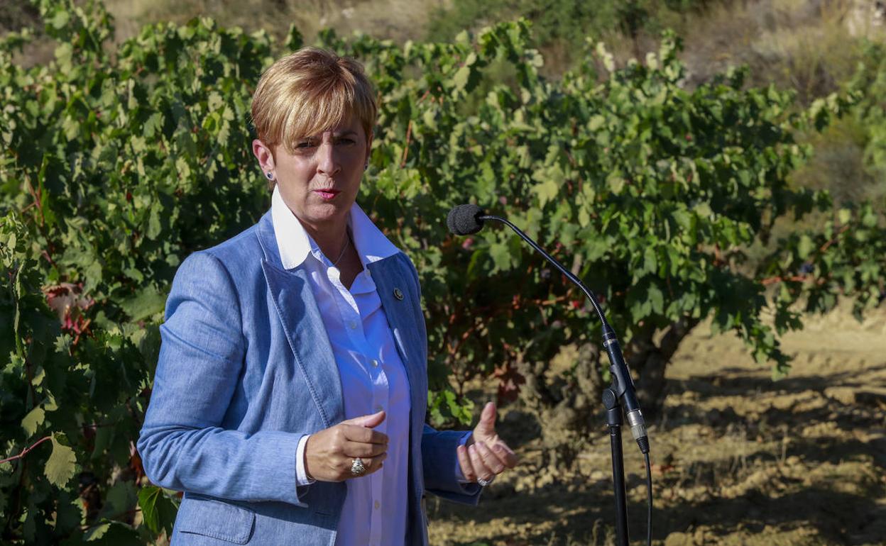 La consejera Tapia, durante la vendimia de 2020 en Villabuena. 