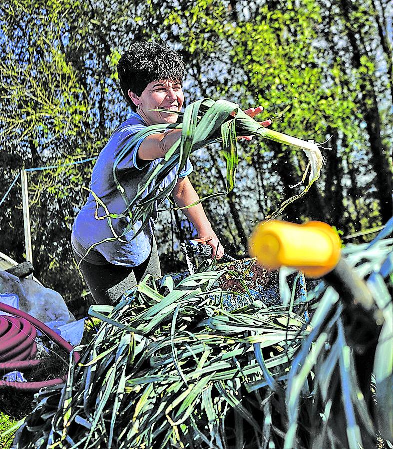 Intxauspe tiene 1,6 hectáreas de huerta en Iurreta. 