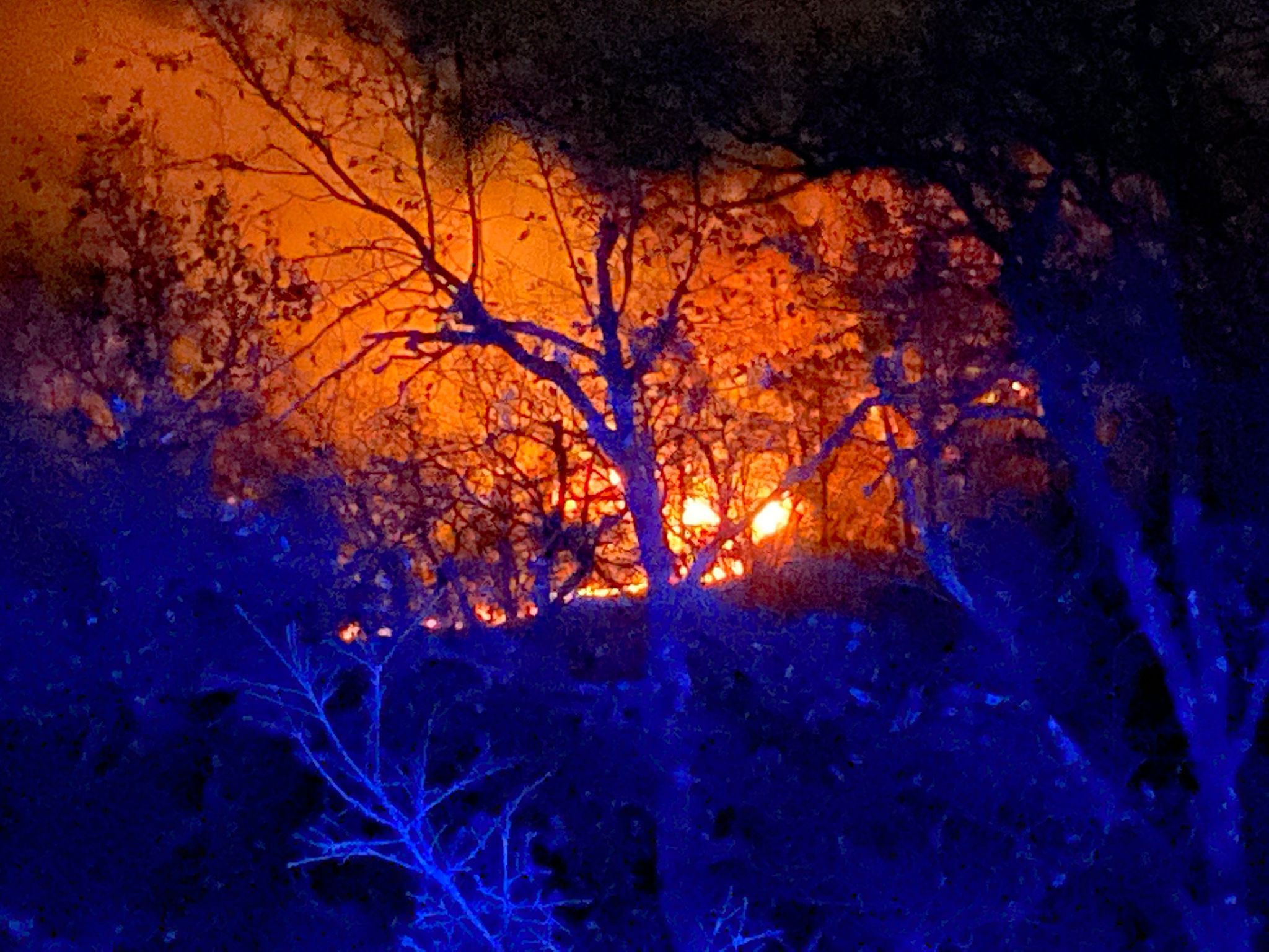 Fotos: Un incendio en Madaria afecta a las faldas de la Sierra Salvada