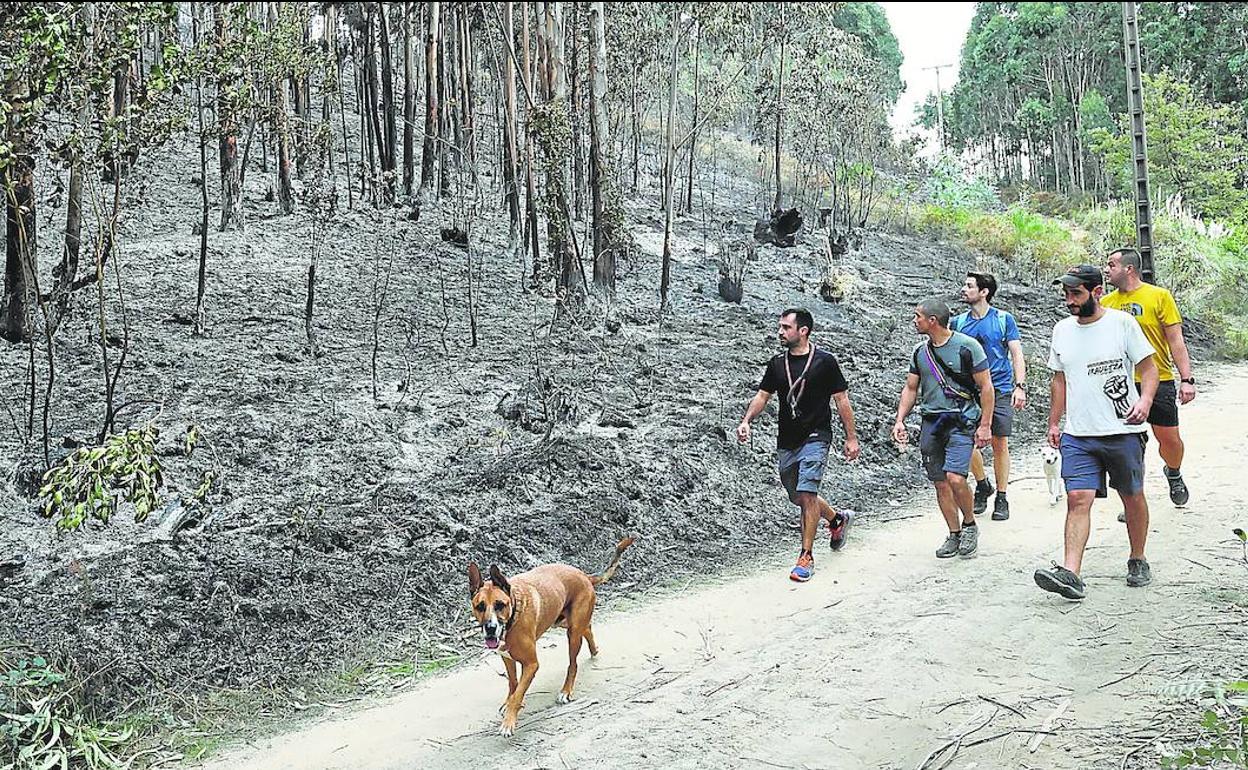 Las zonas afectadas por el incendio de Unbe, que arrasó entre 35 y 40 hectáreas de bosque, eran visibles desde la carretera y las pistas que bajan a Berango. 