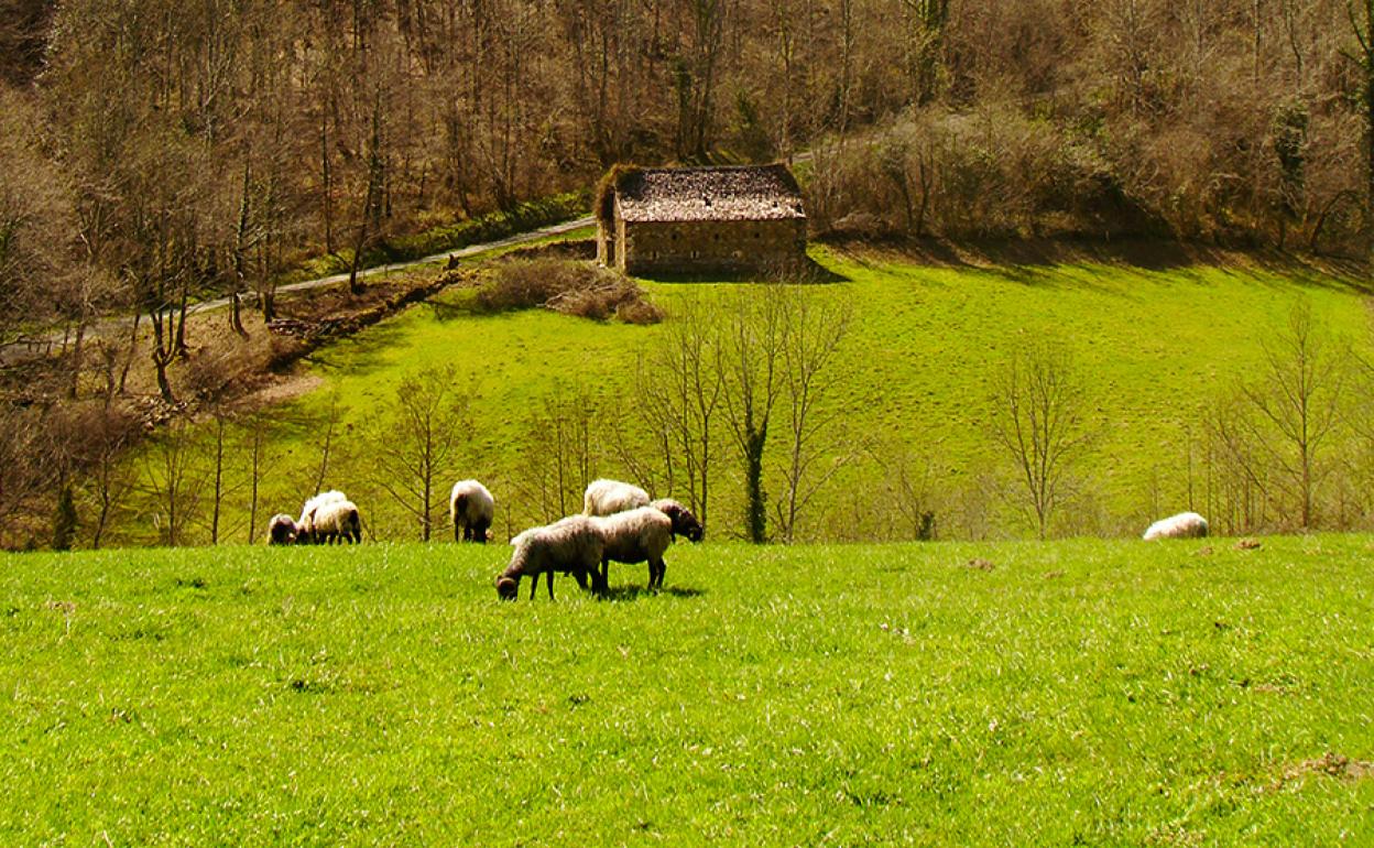 Lapurdin, Nafarroa Beherean eta Zuberoan 170.000 hektarea bideratzen dira gaur egun laborantzara. 