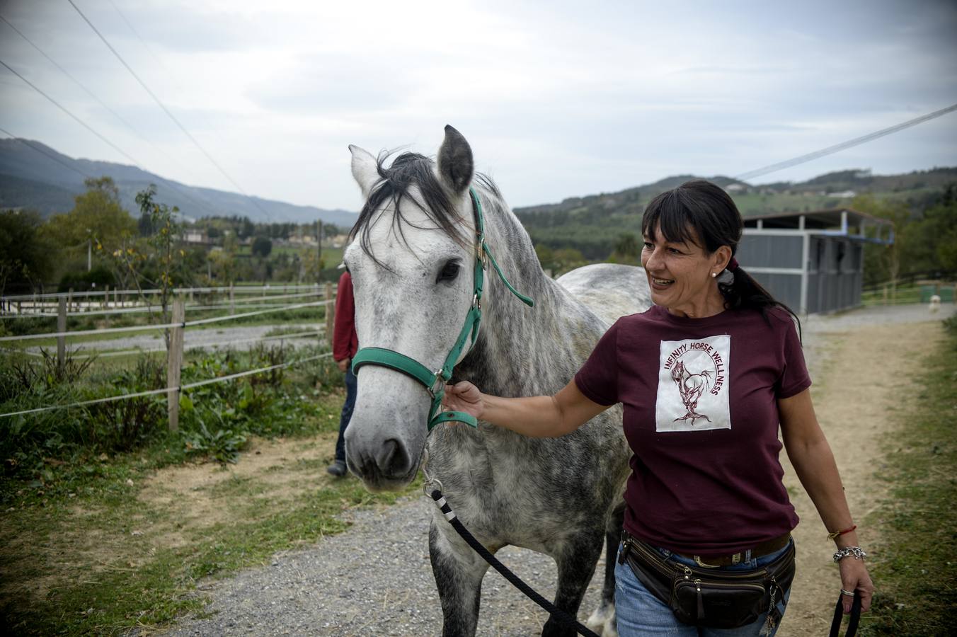 Fotos: Un &#039;spa&#039; para caballos en Euskadi