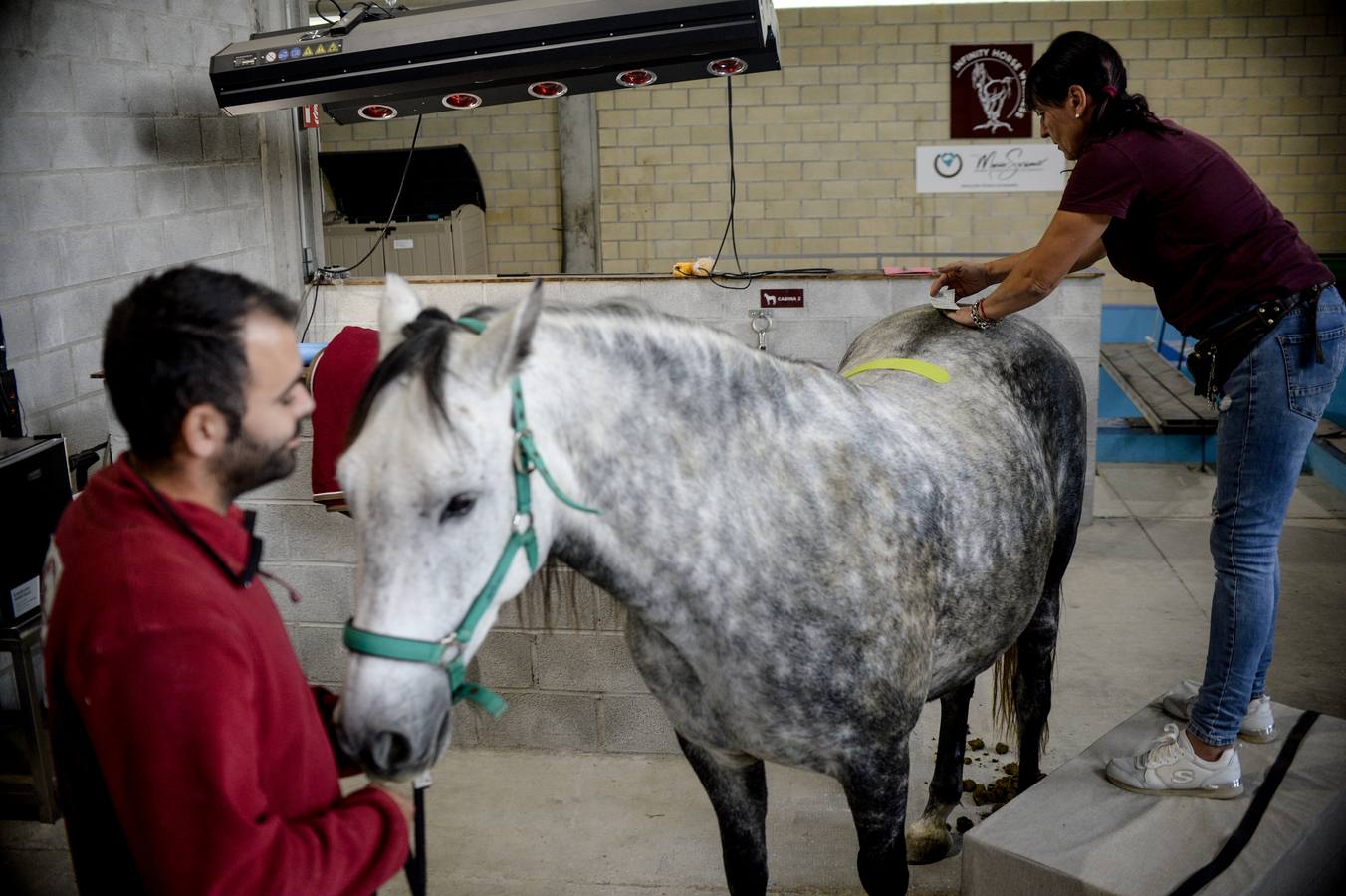 Fotos: Un &#039;spa&#039; para caballos en Euskadi