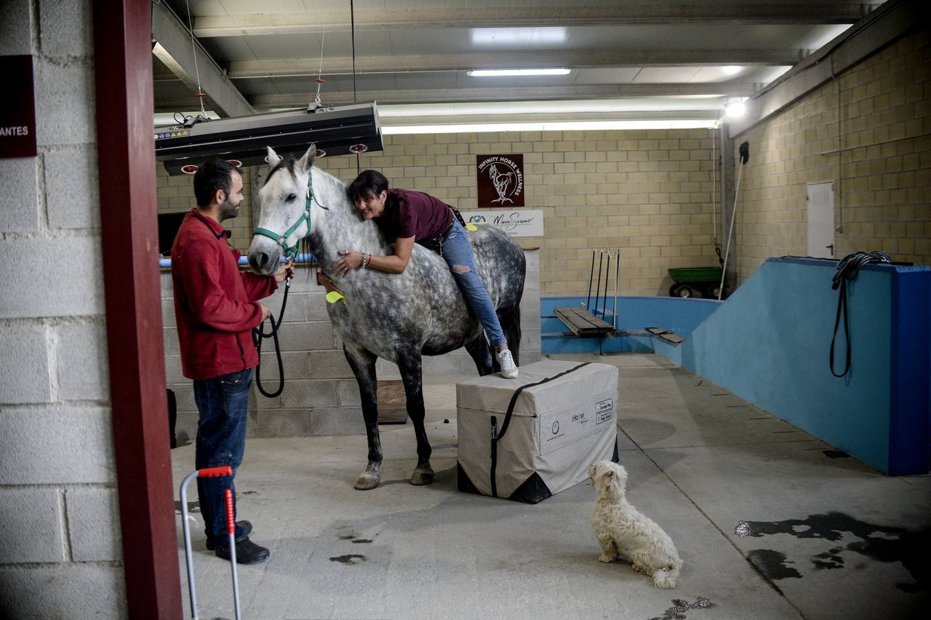 Fotos: Un &#039;spa&#039; para caballos en Euskadi