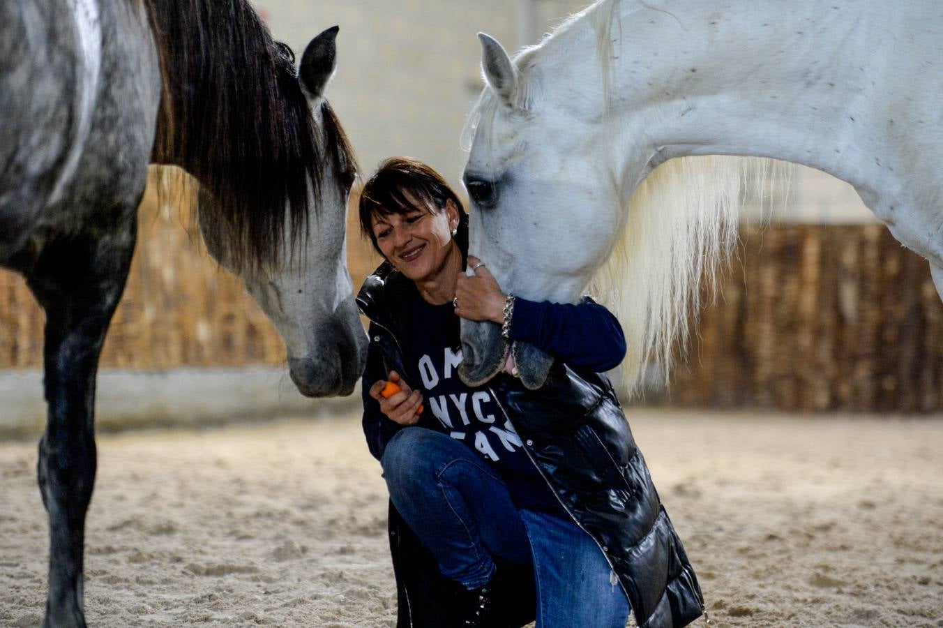 Fotos: Un &#039;spa&#039; para caballos en Euskadi