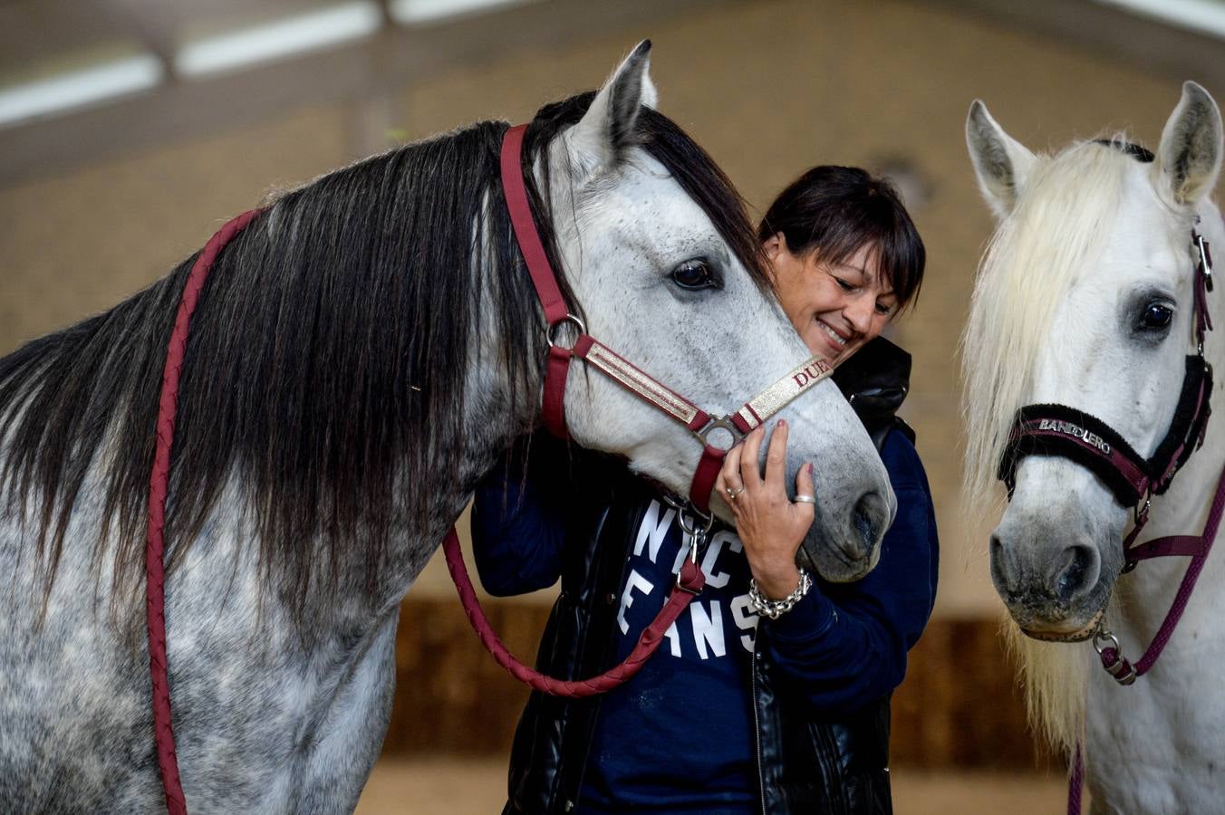 Fotos: Un &#039;spa&#039; para caballos en Euskadi